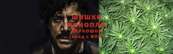 индика Няндома