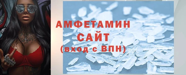 индика Няндома
