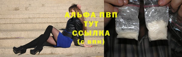 индика Няндома