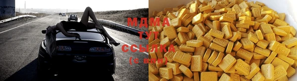 индика Няндома