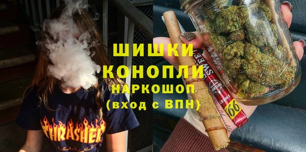 индика Няндома