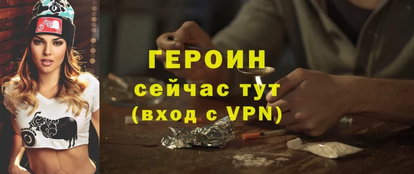 индика Няндома
