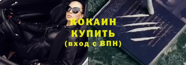 индика Няндома