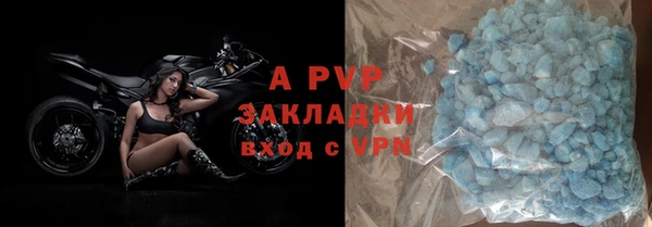 шишки Осинники