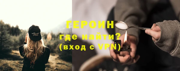 индика Няндома
