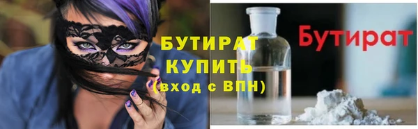 индика Няндома