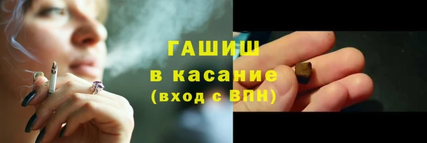 индика Няндома