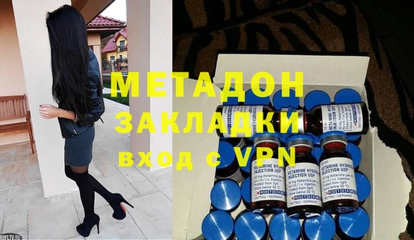 индика Няндома