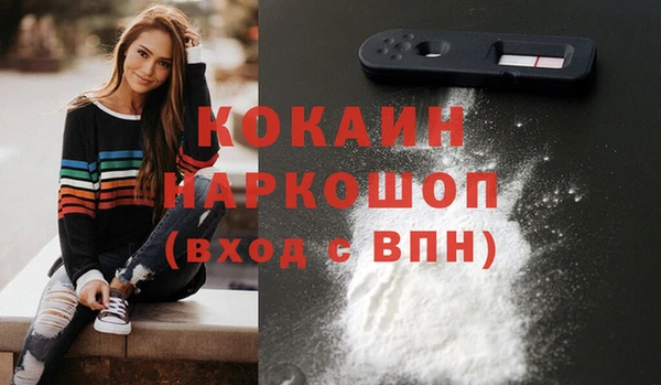 индика Няндома