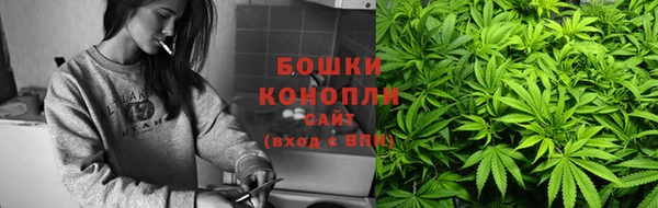 шишки Осинники