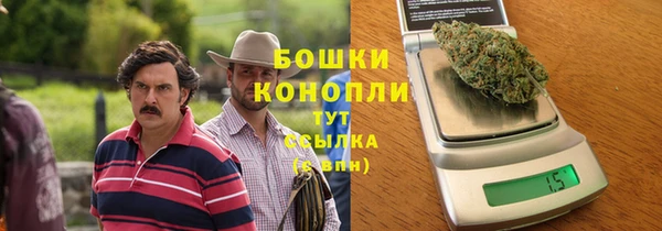 шишки Осинники