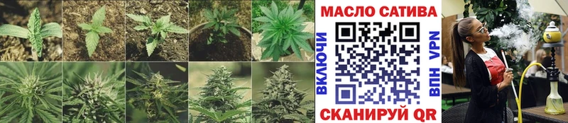 Купить  Ивангород  ТГК гашишное масло 