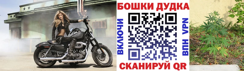 Купить закладки Ивангород Бошки марихуана Ganja